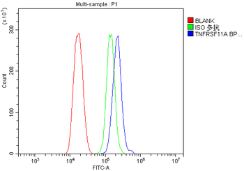RANK/Tnfrsf11a Antibody