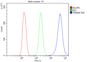 KAP1/TRIM28 Antibody (monoclonal, 3H2)
