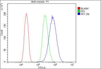 Hexokinase 1/HK1 Mouse Monoclonal Antibody