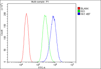 Hexokinase 1/HK1 Mouse Monoclonal Antibody