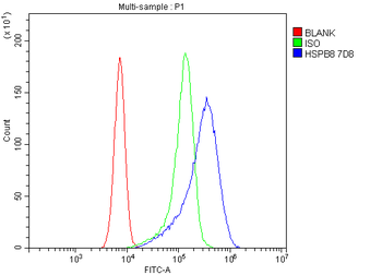 HSPB8/Hsp22 Antibody (monoclonal, 7D8)