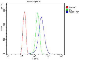 BubR1/BUB1B Antibody (monoclonal, 5I7)