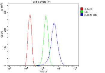 BubR1/BUB1B Antibody (monoclonal, 8B3)