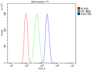 Thioredoxin 2/TXN2 Antibody (monoclonal, 7B5)