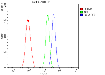 Retinoid X Receptor alpha/RXRA Mouse Monoclonal Antibody