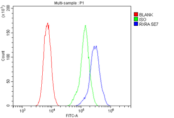 Retinoid X Receptor alpha/RXRA Mouse Monoclonal Antibody