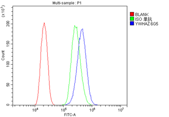 14-3-3 zeta/delta/YWHAZ/14 Mouse Monoclonal Antibody
