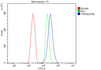 14-3-3 zeta/delta/YWHAZ/14 Mouse Monoclonal Antibody