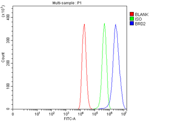 BRD2 Rabbit Polyclonal Antibody