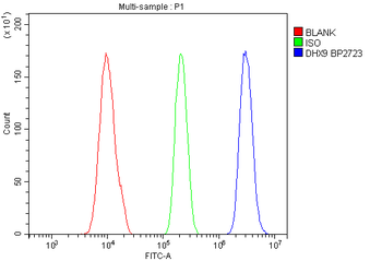 RNA Helicase A/DHX9 Antibody