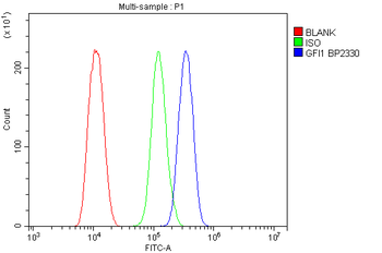 GFI1 Rabbit Polyclonal Antibody