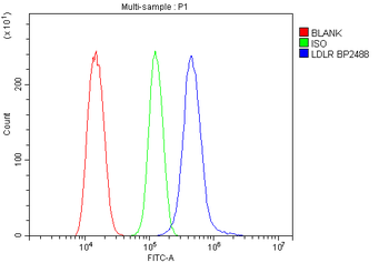 LDL Receptor/LDLR Antibody