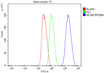 MCM5 Rabbit Polyclonal Antibody