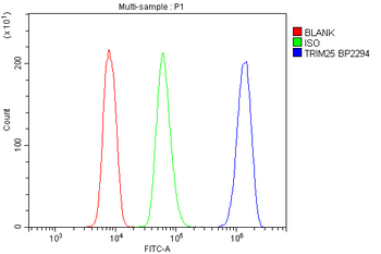 TRIM25/EFP Rabbit Polyclonal Antibody