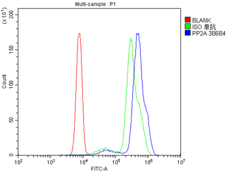 PP2A-alpha/PPP2CA Antibody (monoclonal, 3B6)