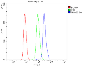 TIF1 gamma/TRIM33 Mouse Monoclonal Antibody
