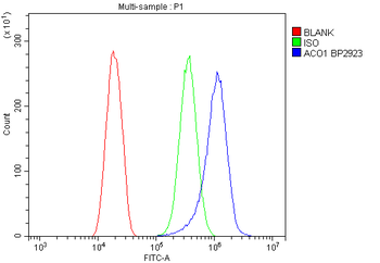 Aconitase 1/ACO1 Antibody