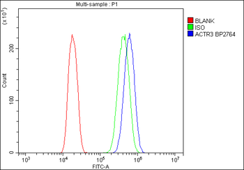 Arp3/ACTR3 Antibody