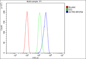 Arp3/ACTR3 Antibody