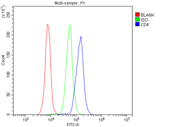 CD4 Rabbit Polyclonal Antibody