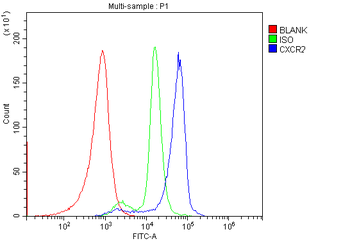 CXCR2 Antibody