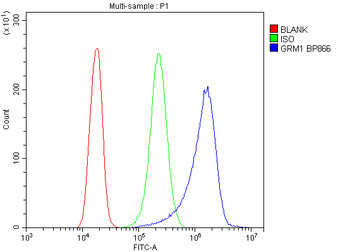 mGluR1/GRM1 Antibody