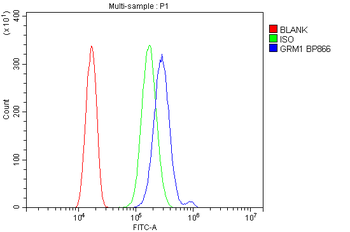 mGluR1/GRM1 Antibody