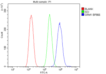 mGluR1/GRM1 Antibody