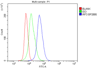 IRF3 Rabbit Polyclonal Antibody