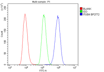 Integrin beta 4/ITGB4 Antibody