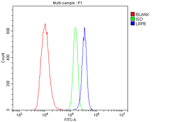 ApoER2/LRP8 Antibody