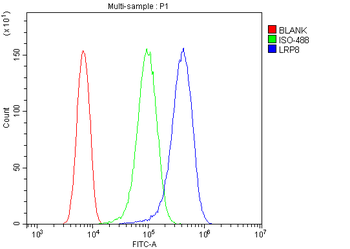 ApoER2/LRP8 Antibody