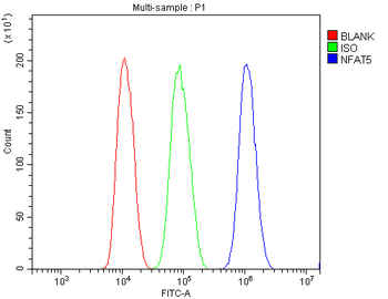 NFAT5 Rabbit Polyclonal Antibody