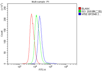 CD73/Nt5e Rabbit Polyclonal Antibody