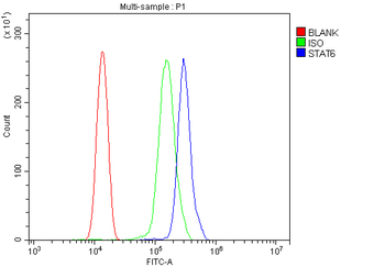 STAT6 Antibody