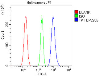 Transketolase/TKT Antibody