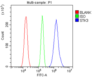 STK3/MST-2/MST Rabbit Polyclonal Antibody