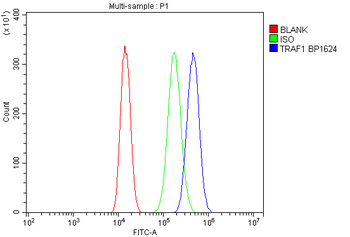 TRAF1 Rabbit Polyclonal Antibody