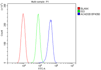 SBCAD/ACADSB Rabbit Polyclonal Antibody