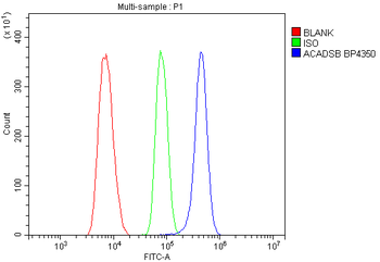 SBCAD/ACADSB Rabbit Polyclonal Antibody