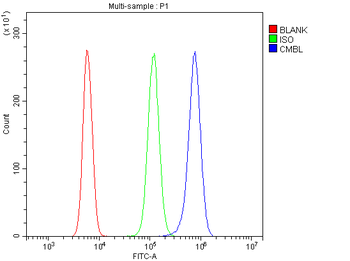 LOC134147/CMBL Rabbit Polyclonal Antibody