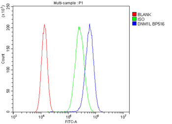 DRP1/DNM1L Antibody