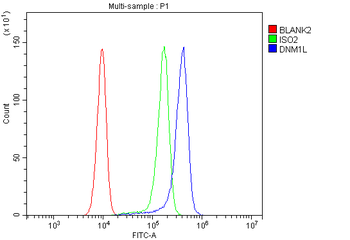 DRP1/DNM1L Antibody
