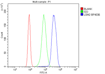 LSM2 Antibody