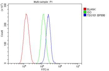 TSG101 Rabbit Polyclonal Antibody
