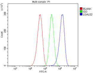Galectin 2/LGALS2 Antibody