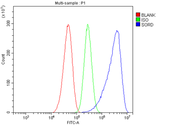 Sorbitol Dehydrogenase/SORD Rabbit Polyclonal Antibody