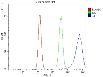 C3 Rabbit Polyclonal Antibody