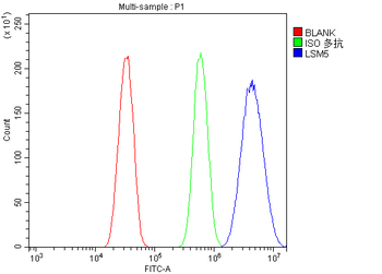 LSM5 Antibody