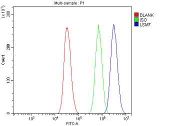 LSM7 Antibody